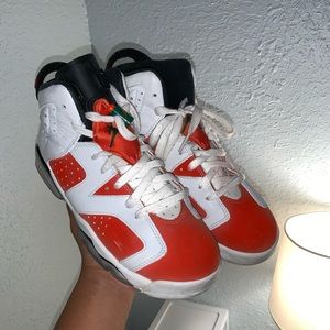 AIR JORDAN 6 “GATORADES”